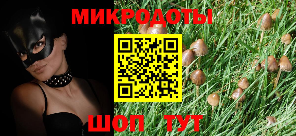 Галлюциногенные грибы прущие грибы Железноводск