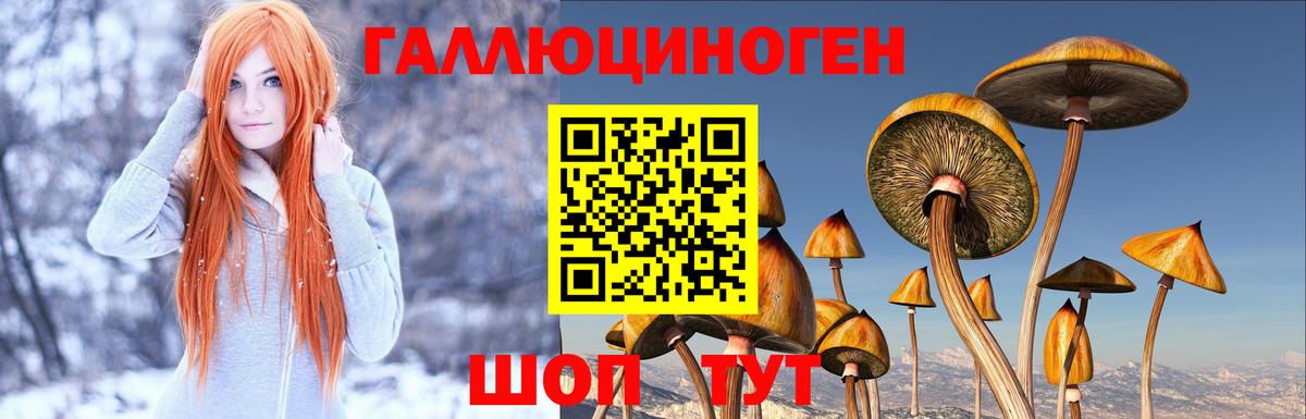 Псилоцибиновые грибы мицелий  Вход с VPN  Железноводск 